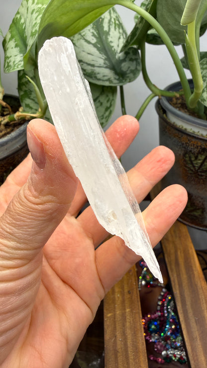 Natural Raw Selenite Plate- 3.2 inches wide- Super clear high quality slab