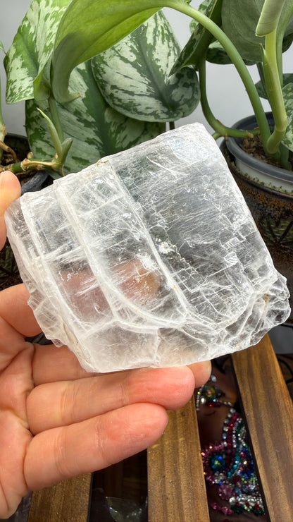 Natural Raw Selenite Plate- 3.2 inches wide- Super clear high quality slab