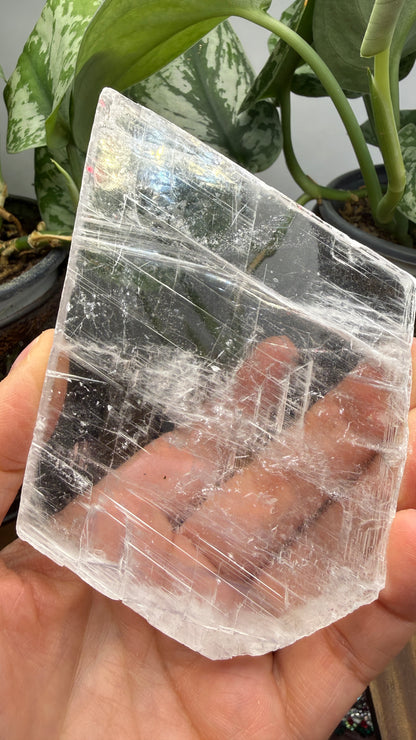 Natural Raw Selenite Plate- 3.8 inches wide- Super clear high quality slab