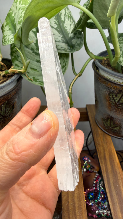 Natural Raw Selenite Plate- 3.8 inches wide- Super clear high quality slab