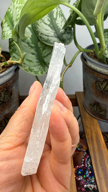 Natural Raw Selenite Plate- 3.8 inches wide- Super clear high quality slab