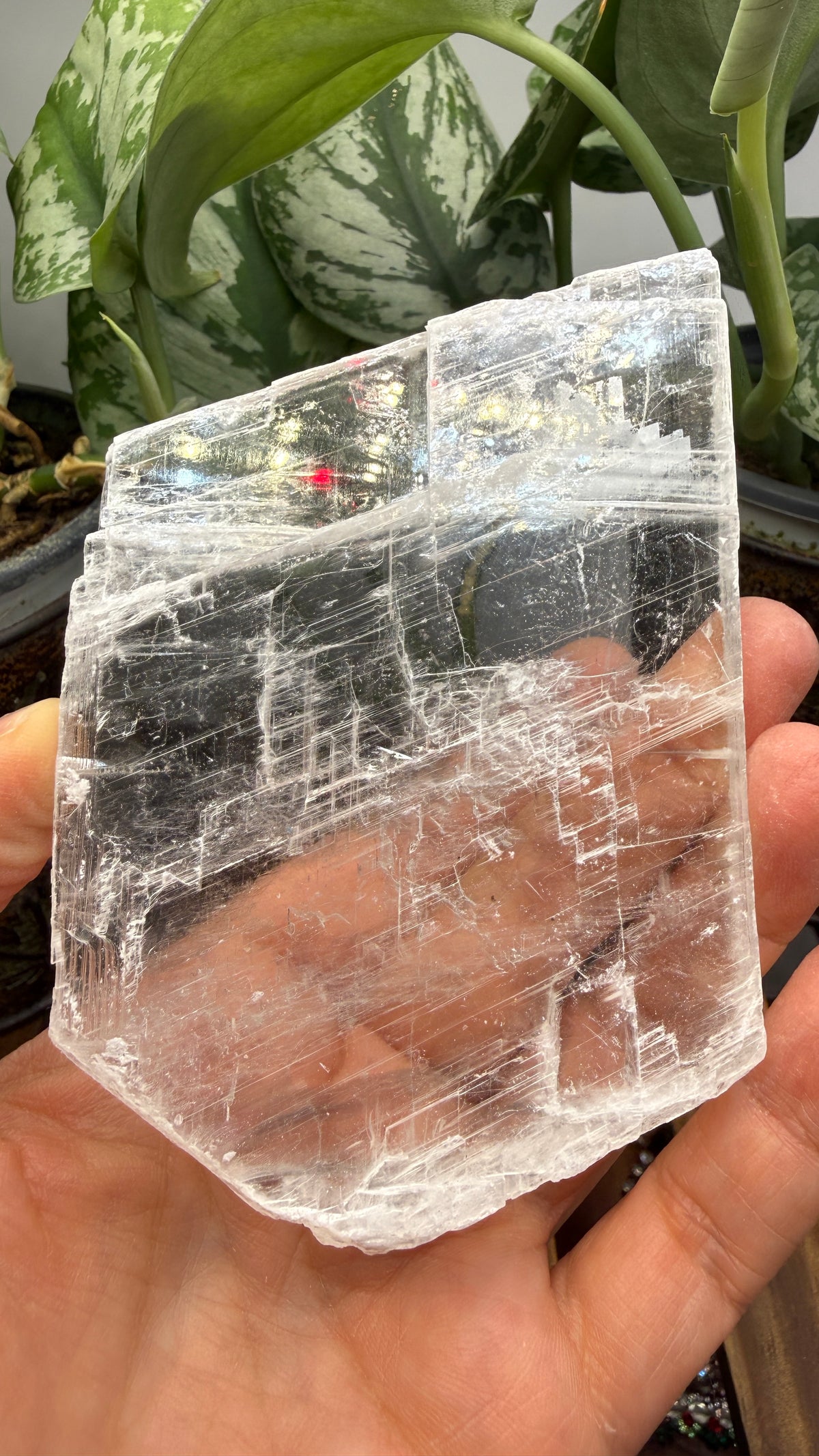 Natural Raw Selenite Plate- 3.8 inches wide- Super clear high quality slab