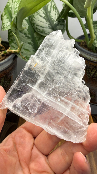 Natural Raw Selenite Plate- 3.0 inches wide- Super clear high quality slab