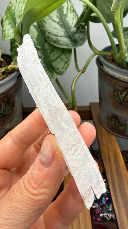 Natural Raw Selenite Plate- 3.0 inches wide- Super clear high quality slab