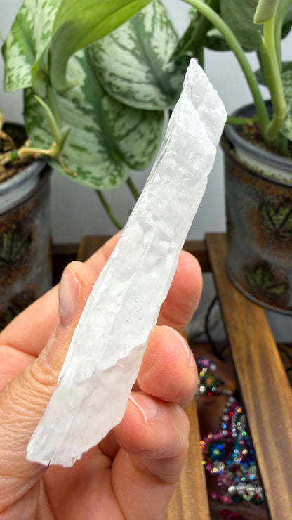 Natural Raw Selenite Plate- 3.0 inches wide- Super clear high quality slab
