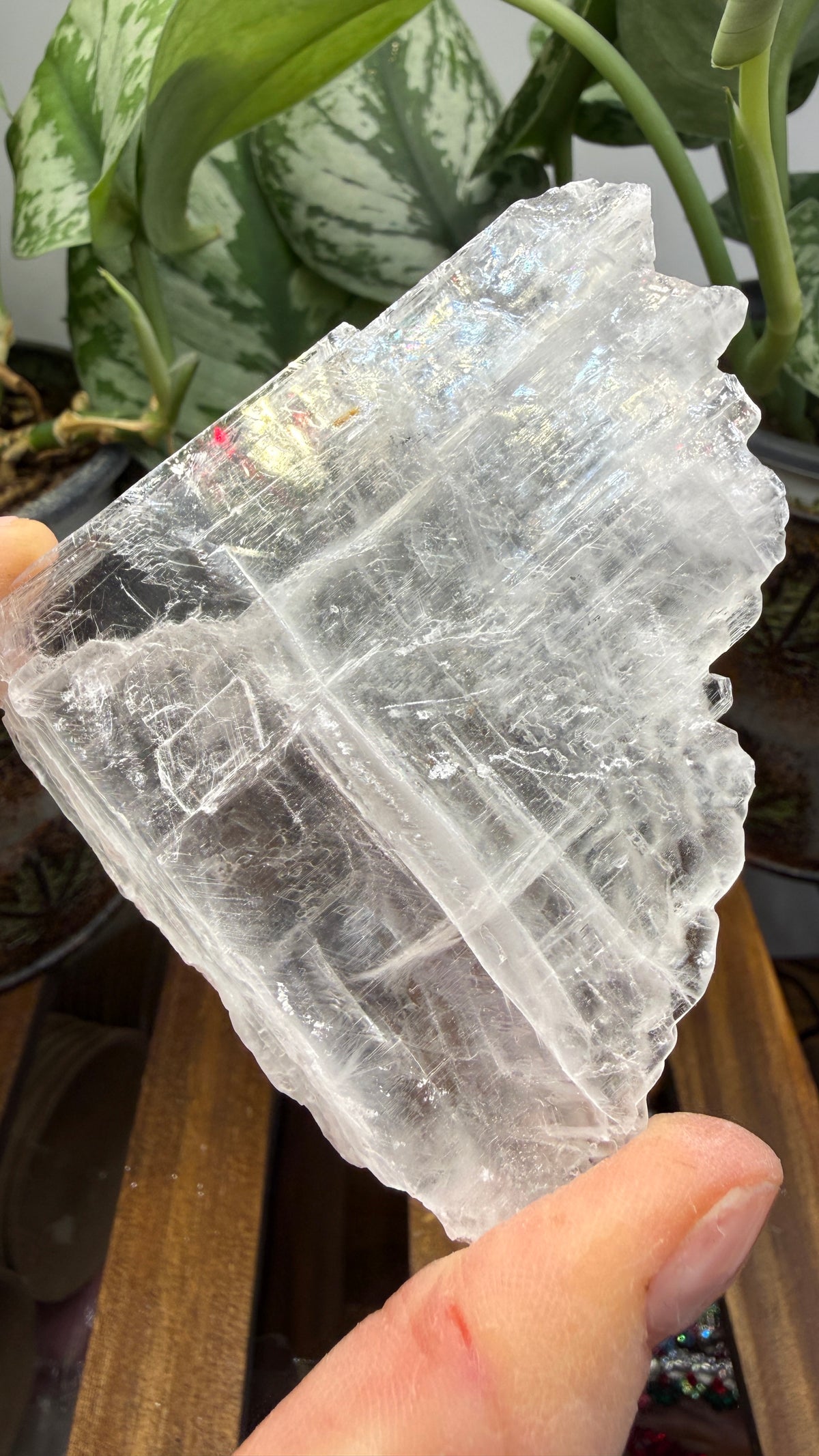 Natural Raw Selenite Plate- 3.0 inches wide- Super clear high quality slab