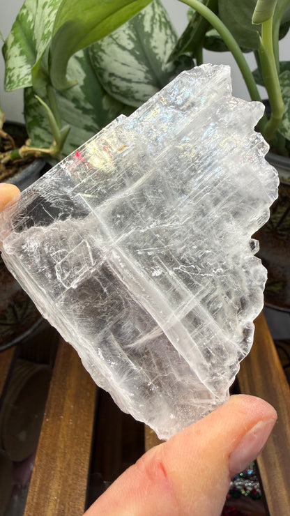 Natural Raw Selenite Plate- 3.0 inches wide- Super clear high quality slab