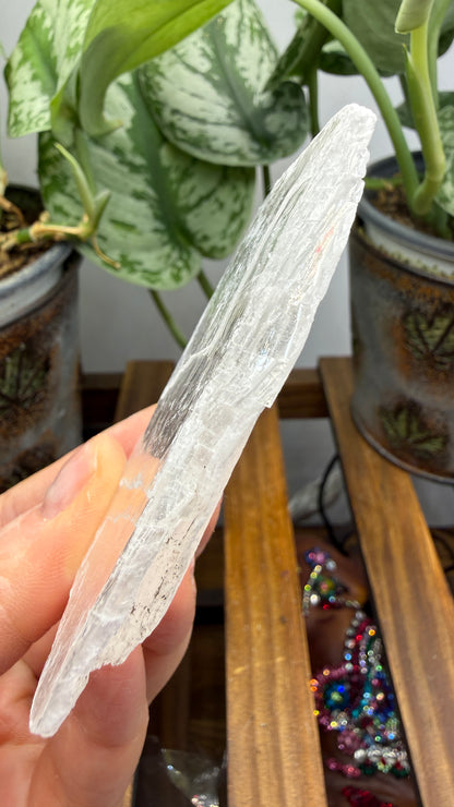 Natural Raw Selenite Plate- 3.0 inches wide- Super clear high quality slab