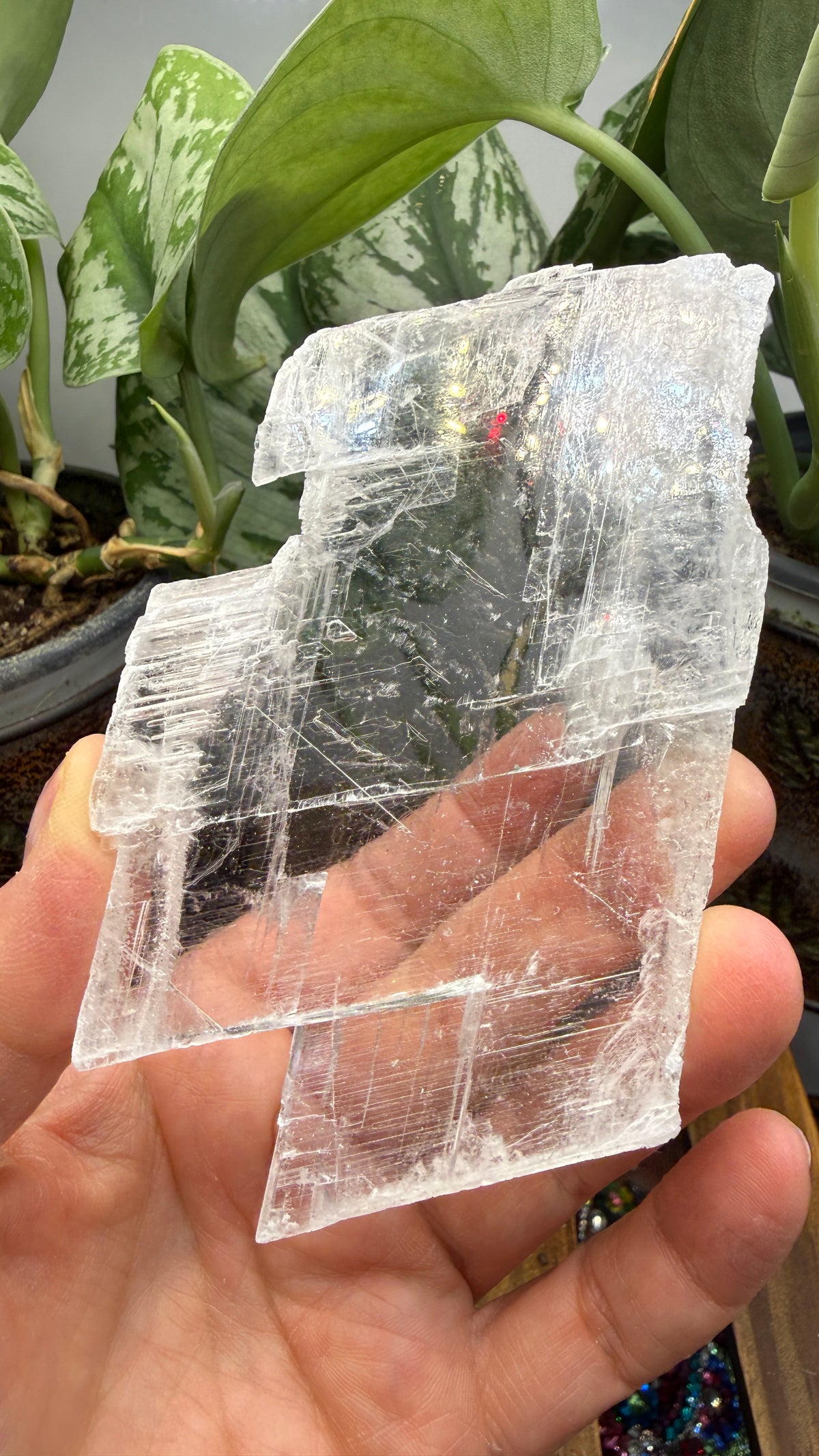 Natural Raw Selenite Plate- 3.9 inches wide- Super clear high quality slab