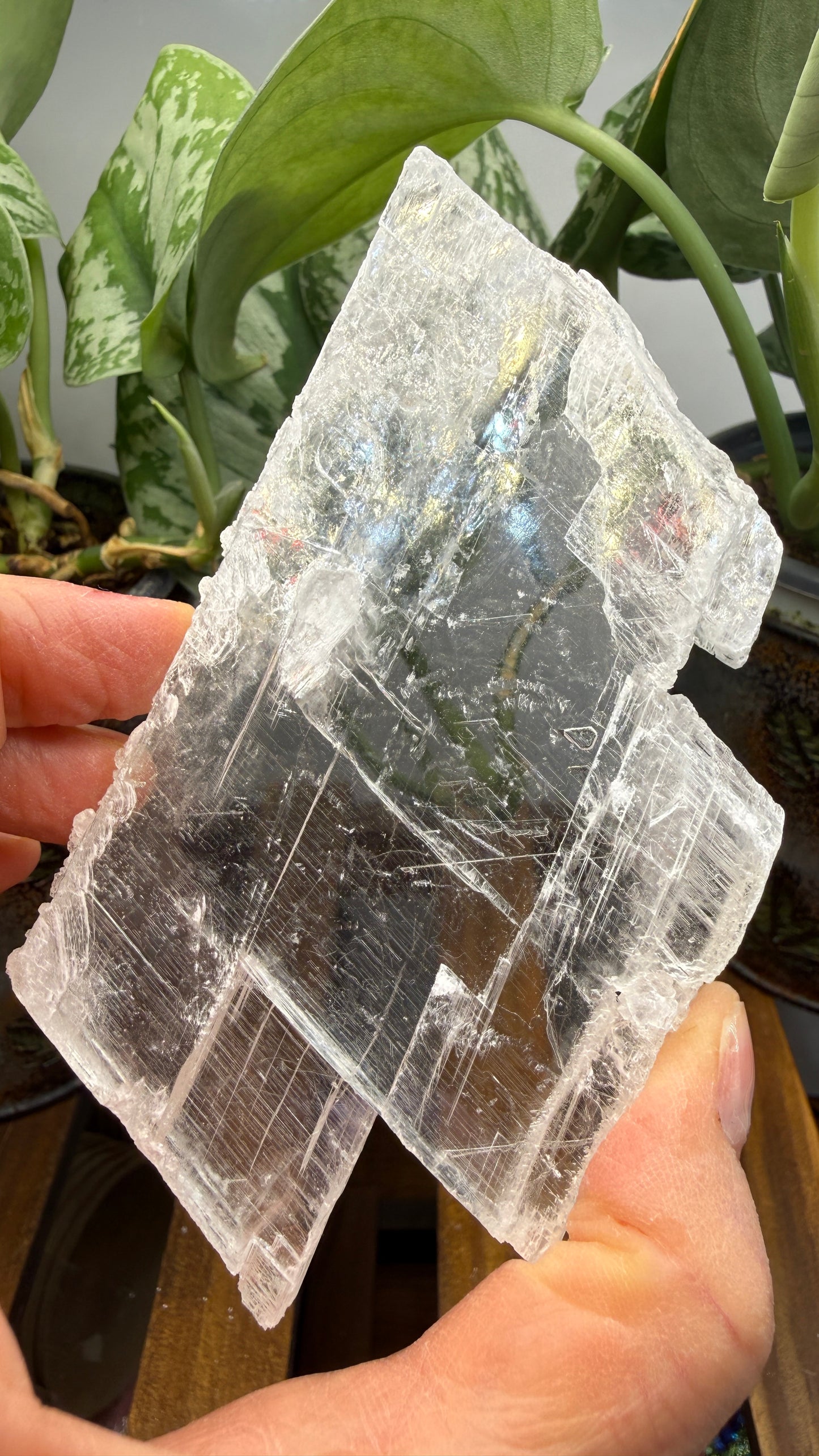 Natural Raw Selenite Plate- 3.9 inches wide- Super clear high quality slab