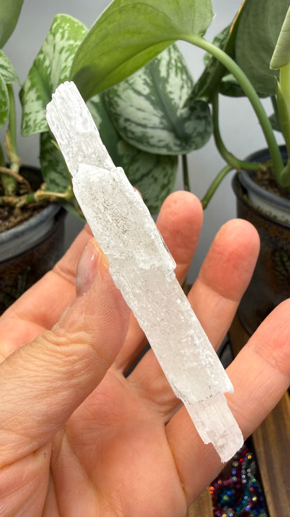 Natural Raw Selenite Plate- 3.9 inches wide- Super clear high quality slab