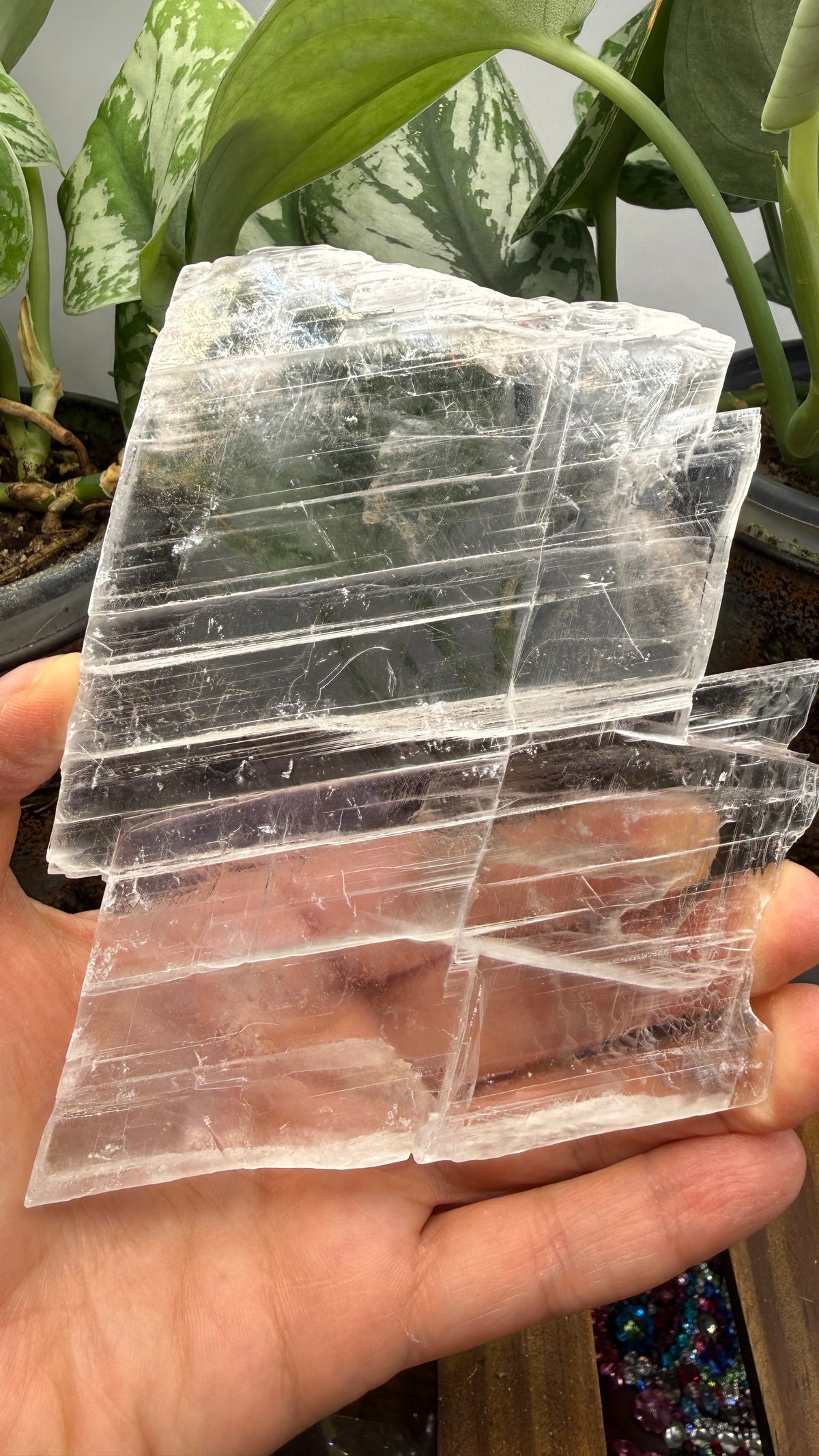 Natural Raw Selenite Plate- 5.1 inches wide- Super clear high quality slab