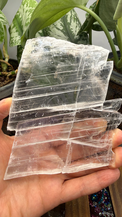 Natural Raw Selenite Plate- 5.1 inches wide- Super clear high quality slab