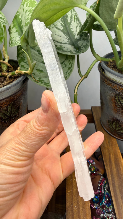 Natural Raw Selenite Plate- 5.1 inches wide- Super clear high quality slab