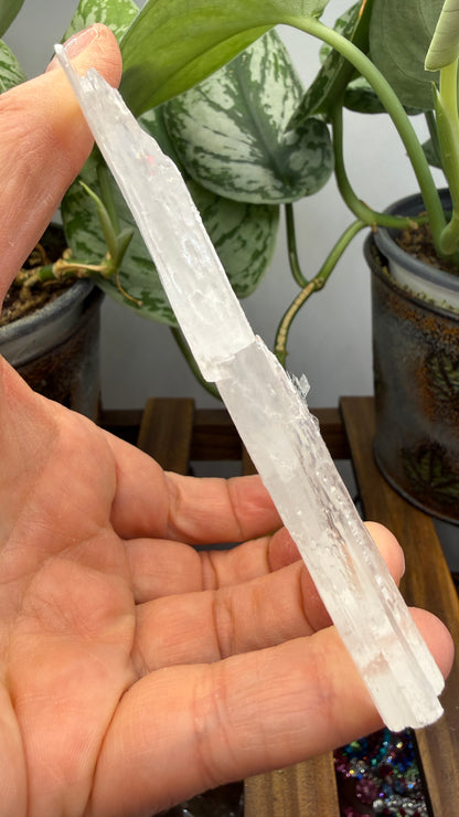 Natural Raw Selenite Plate- 5.1 inches wide- Super clear high quality slab