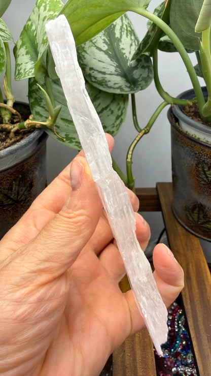 Natural Raw Selenite Plate- 5.1 inches wide- Super clear high quality slab