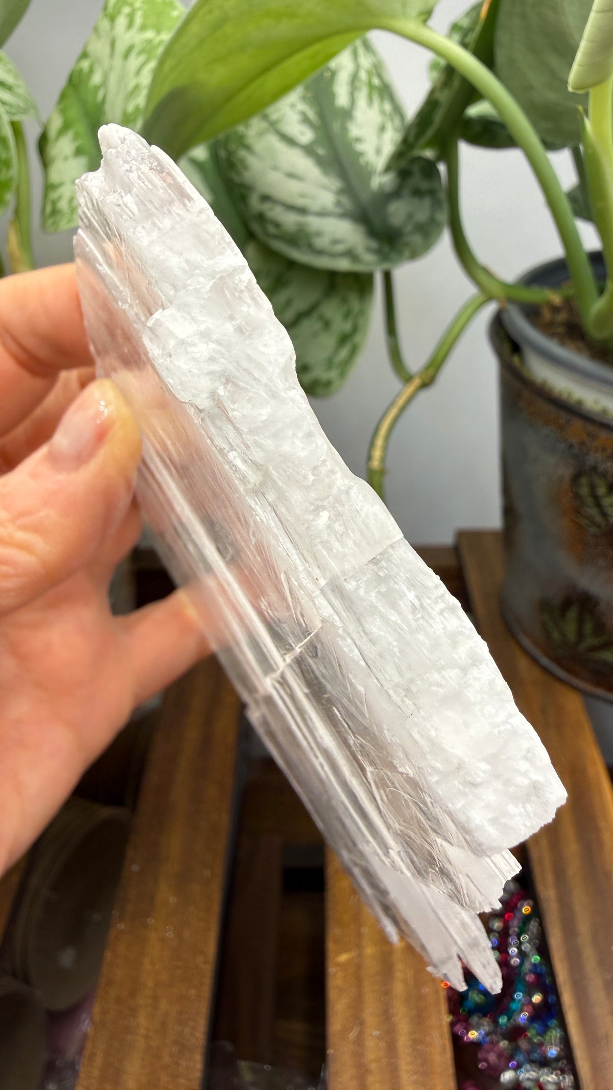 Natural Raw Selenite Plate- 5.1 inches wide- Super clear high quality slab