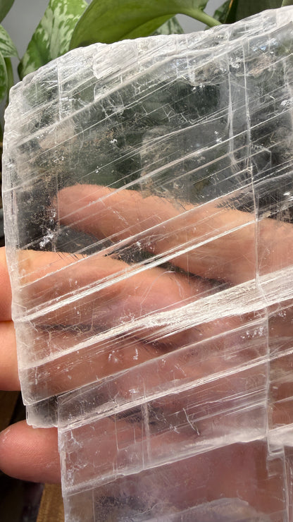Natural Raw Selenite Plate- 5.1 inches wide- Super clear high quality slab