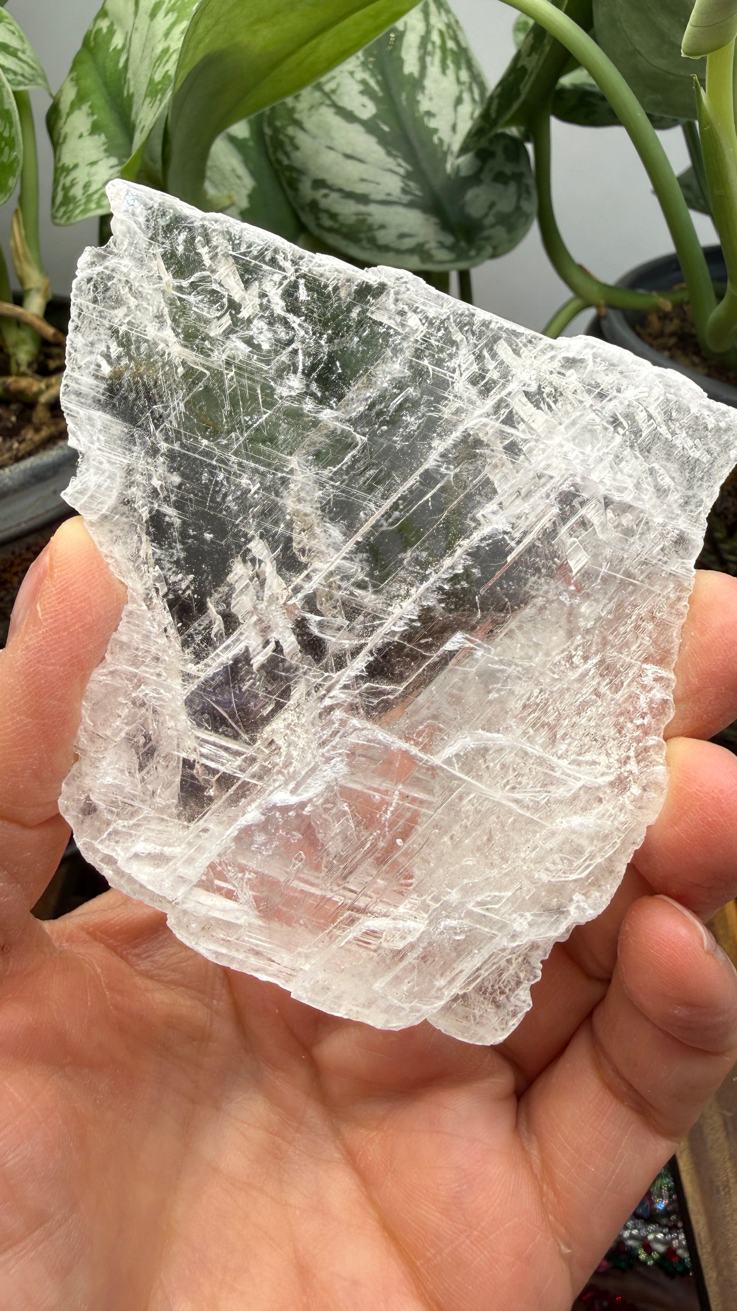 Natural Raw Selenite Plate- 2.9 inches wide- Super clear high quality slab