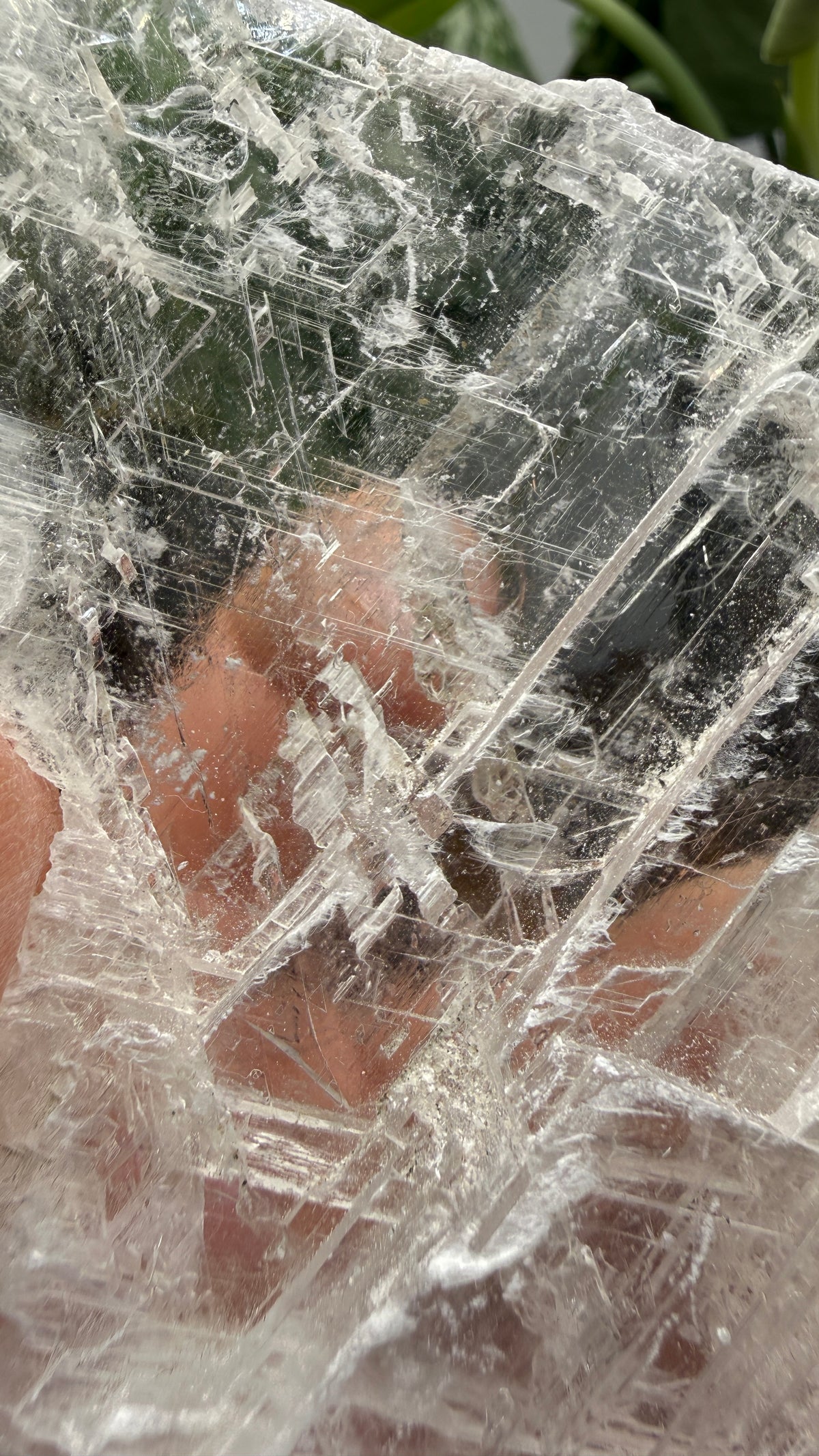 Natural Raw Selenite Plate- 2.9 inches wide- Super clear high quality slab