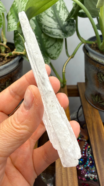 Natural Raw Selenite Plate- 2.9 inches wide- Super clear high quality slab