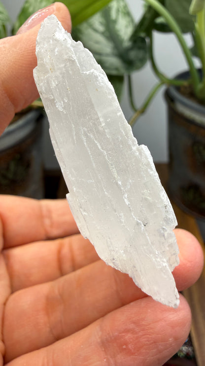 Natural Raw Selenite Plate- 2.9 inches wide- Super clear high quality slab