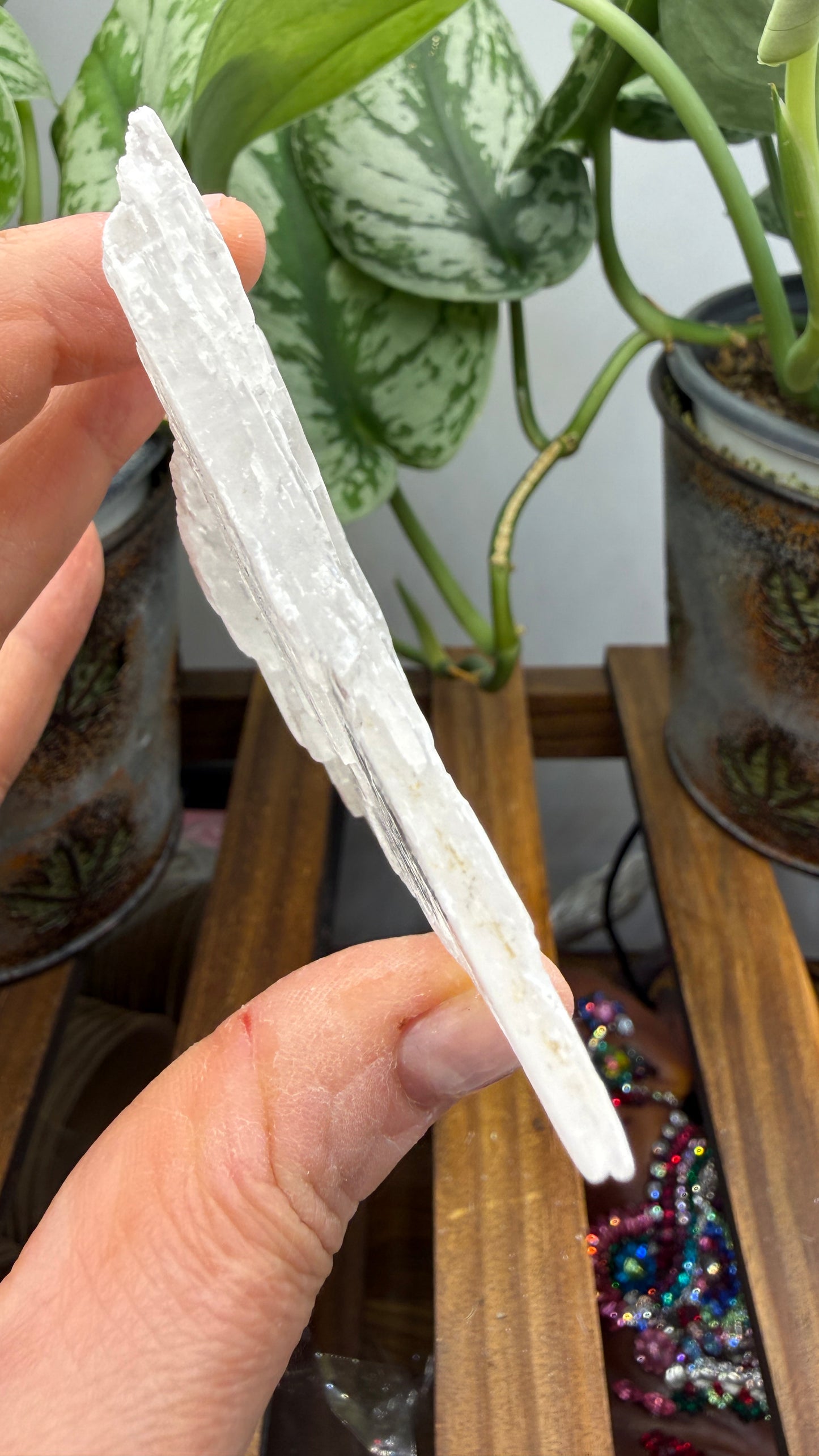 Natural Raw Selenite Plate- 2.9 inches wide- Super clear high quality slab