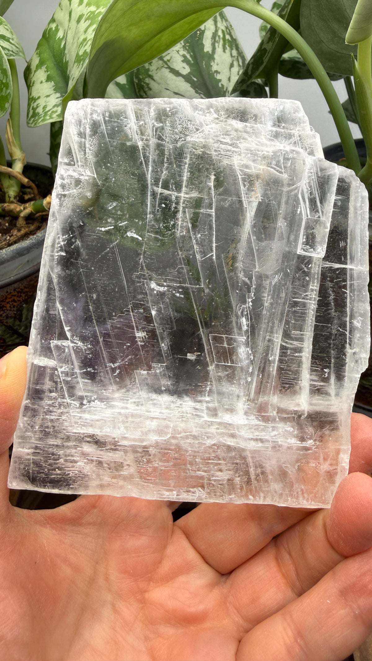 Natural Raw Selenite Plate- 4 inches wide- Super clear high quality slab