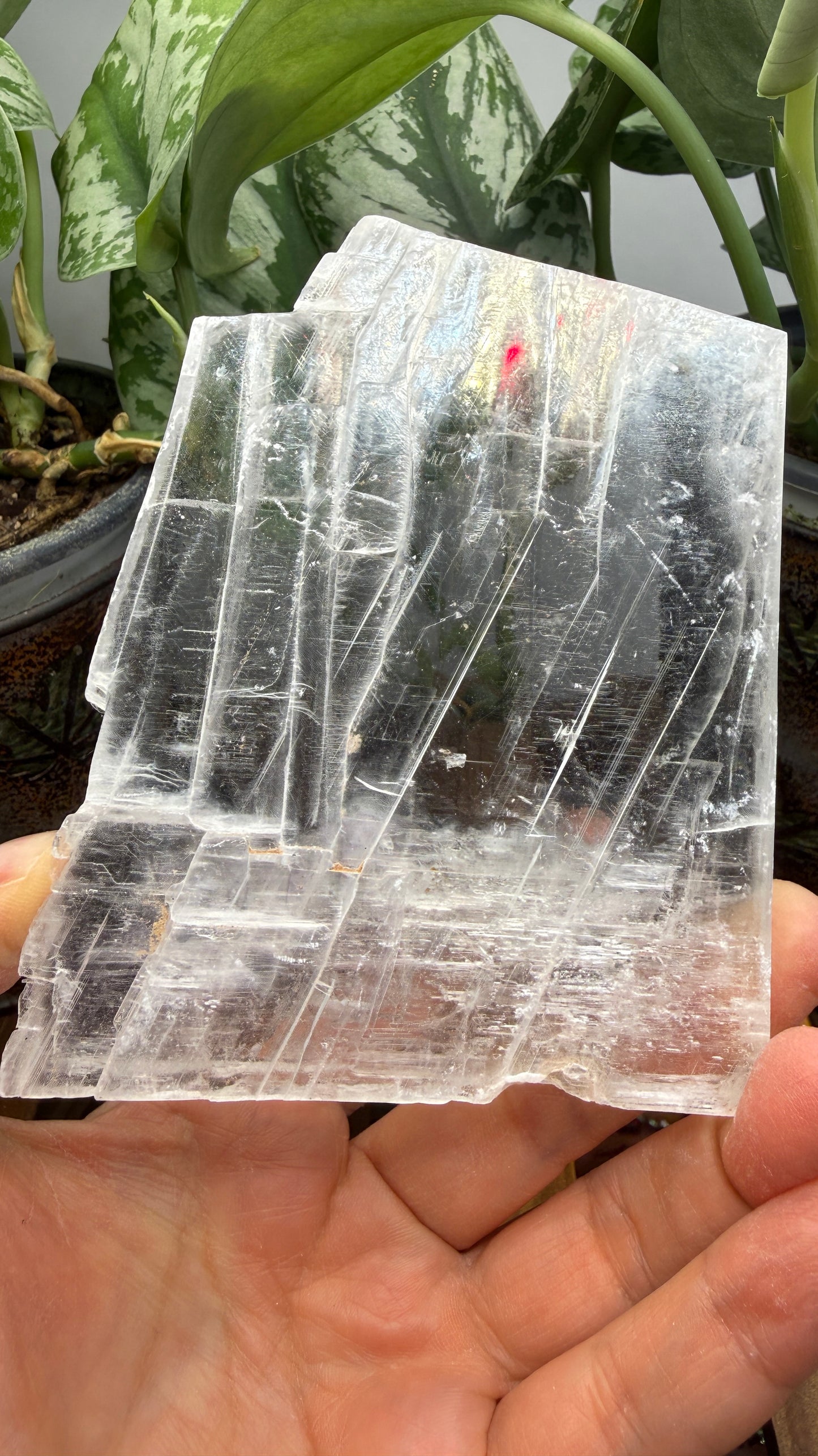 Natural Raw Selenite Plate- 4 inches wide- Super clear high quality slab