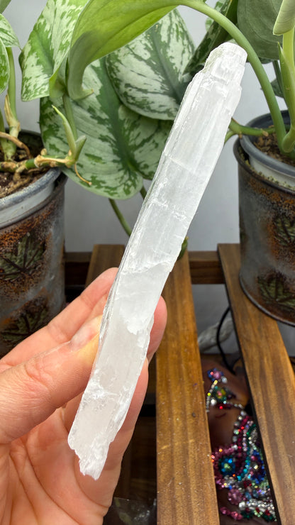 Natural Raw Selenite Plate- 4 inches wide- Super clear high quality slab
