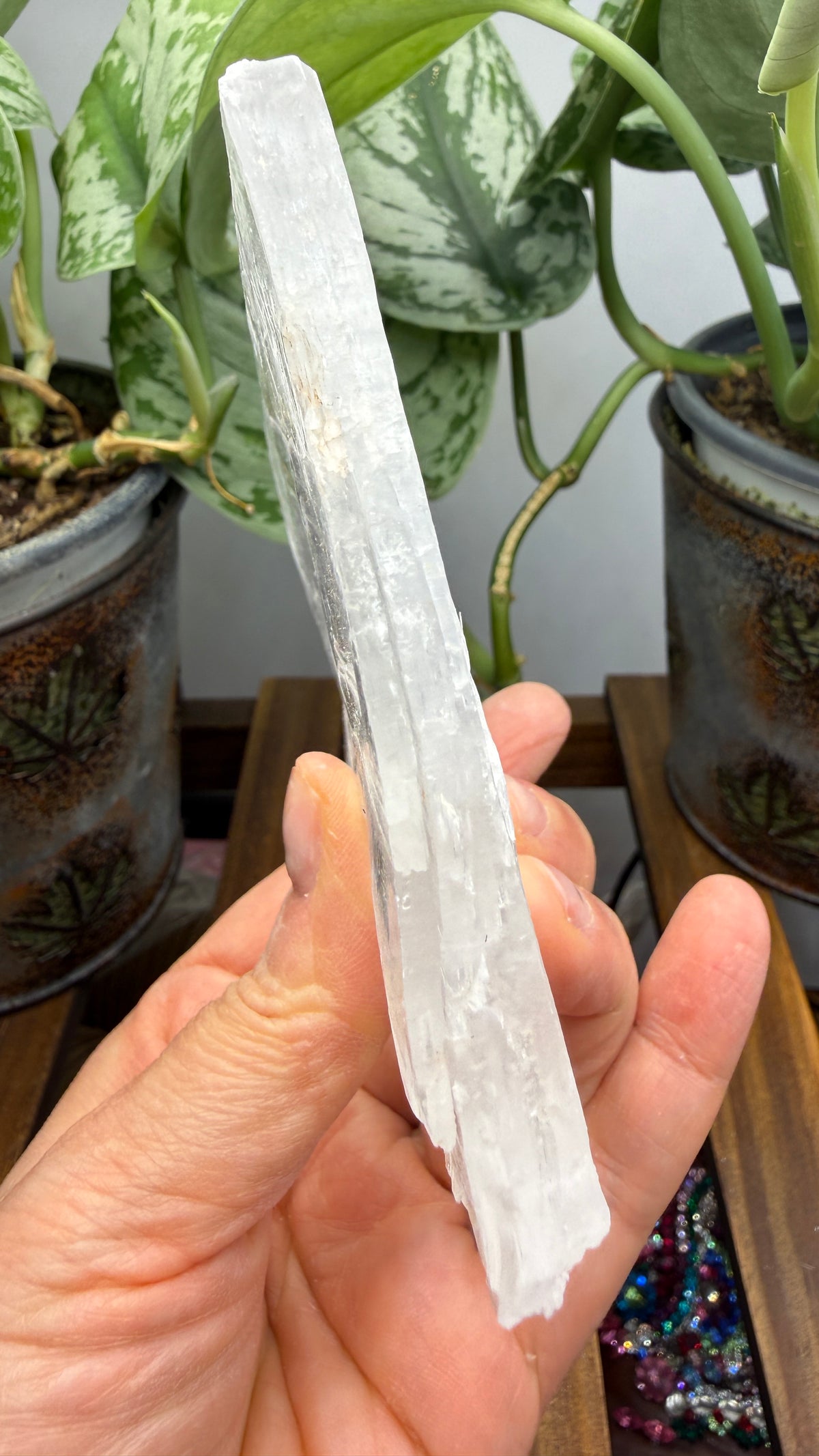 Natural Raw Selenite Plate- 4 inches wide- Super clear high quality slab