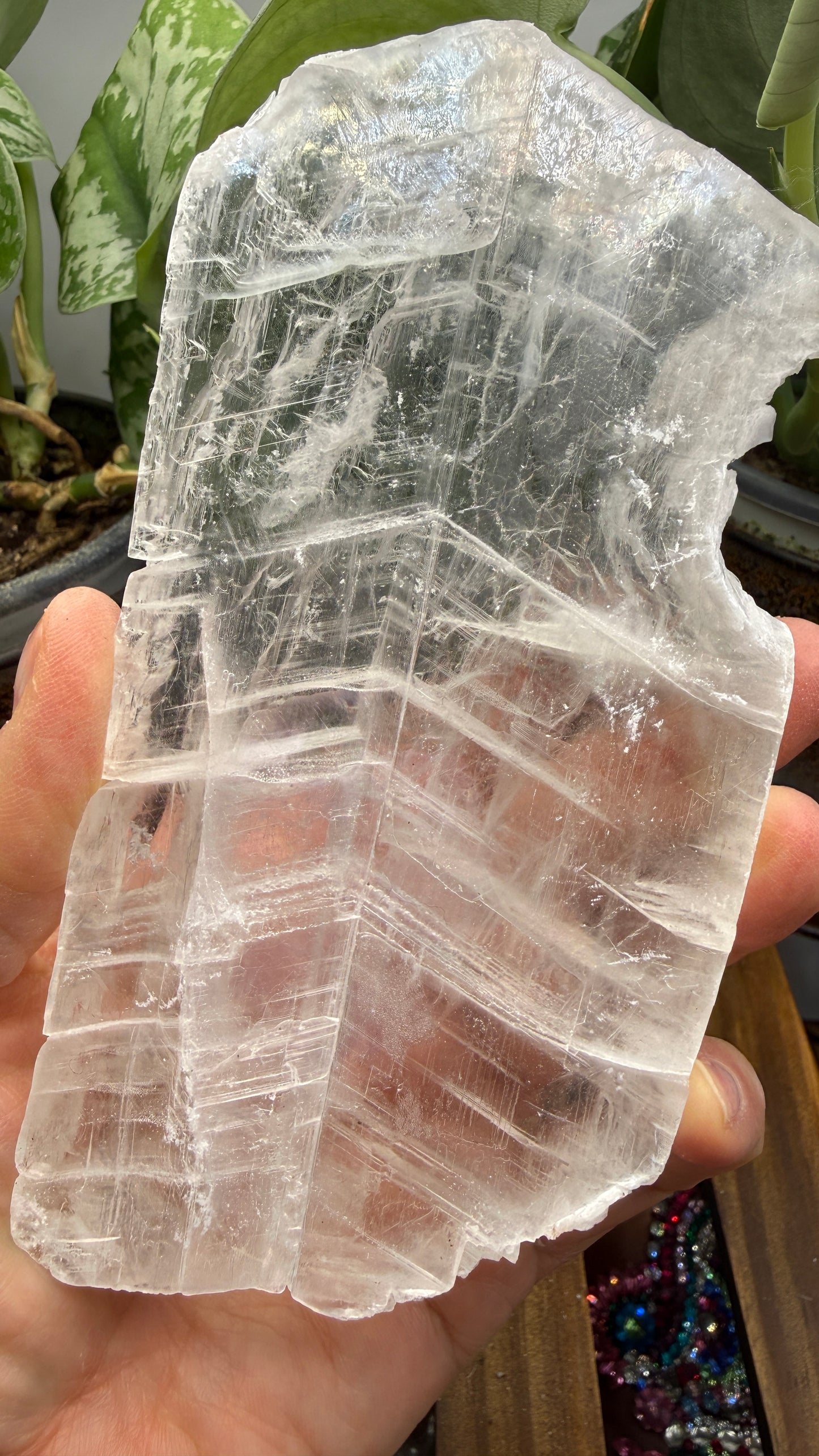 Natural Raw Selenite Plate- 5.6 inches wide- Super clear high quality slab