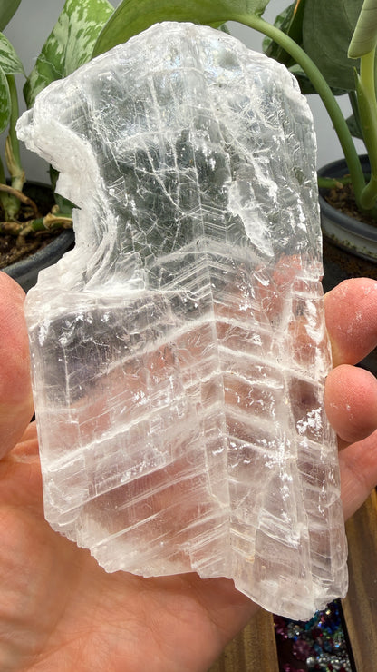 Natural Raw Selenite Plate- 5.6 inches wide- Super clear high quality slab