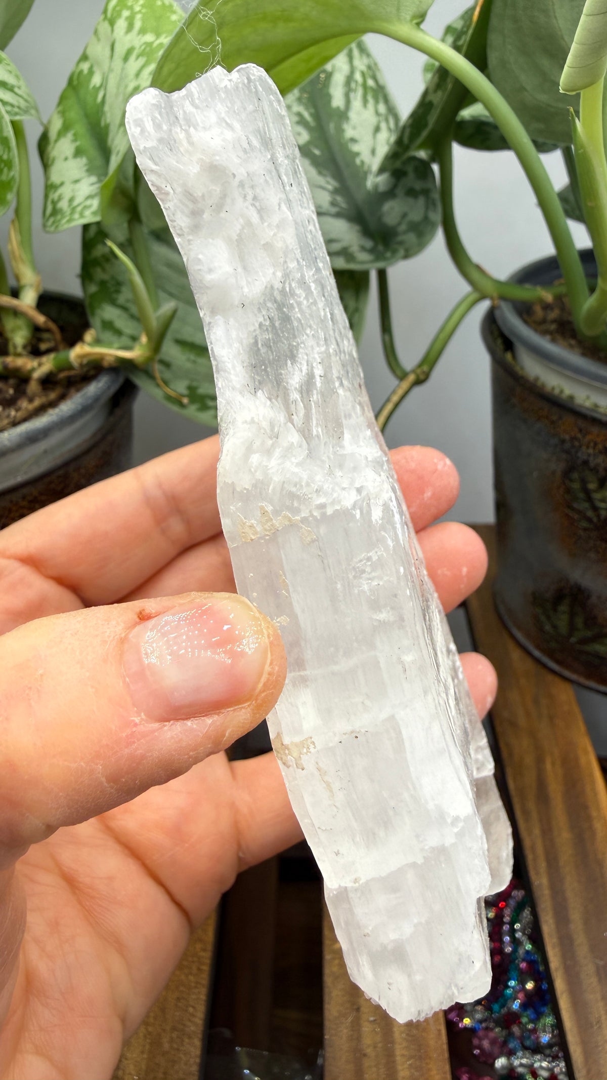 Natural Raw Selenite Plate- 5.6 inches wide- Super clear high quality slab