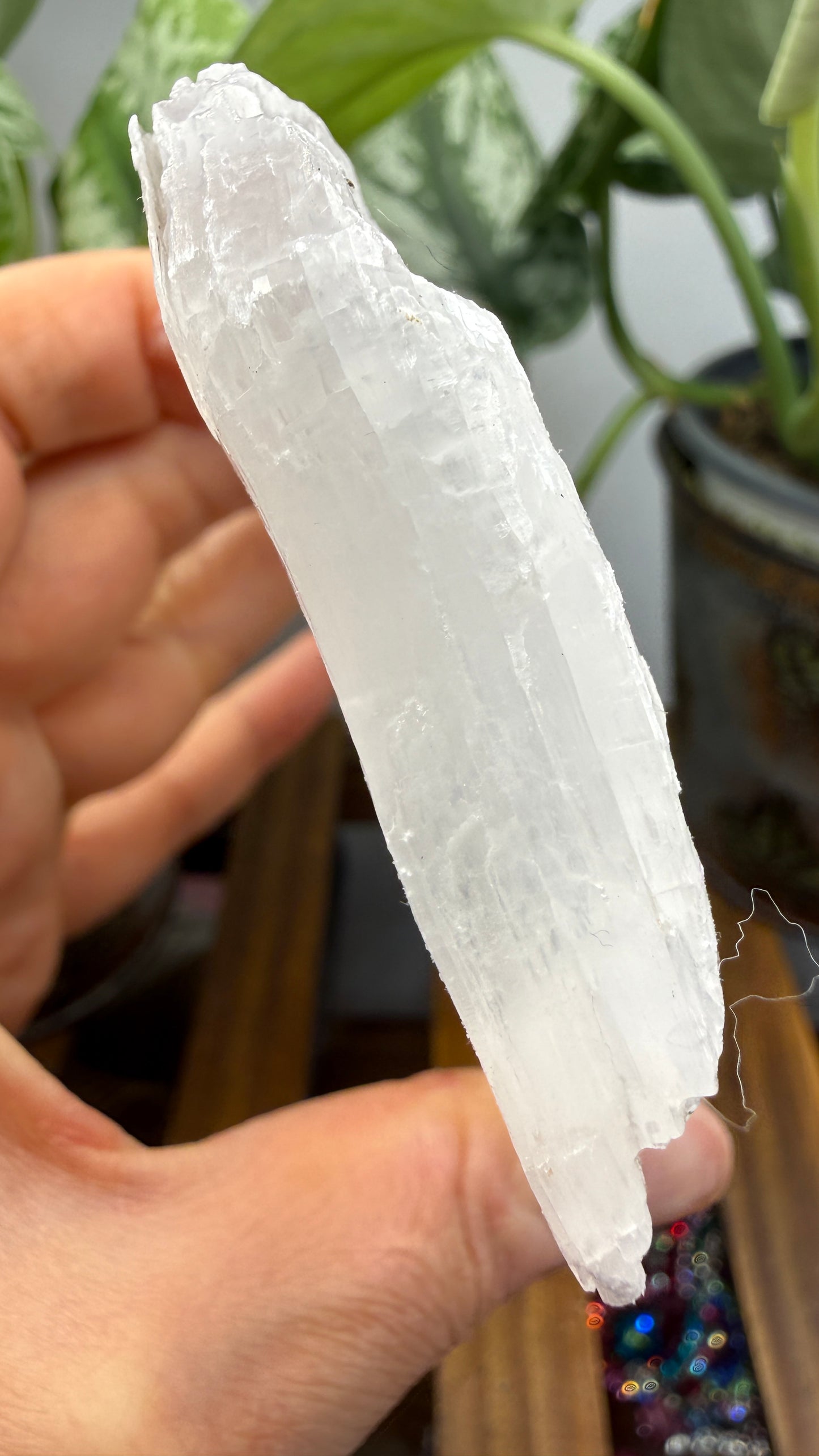 Natural Raw Selenite Plate- 5.6 inches wide- Super clear high quality slab