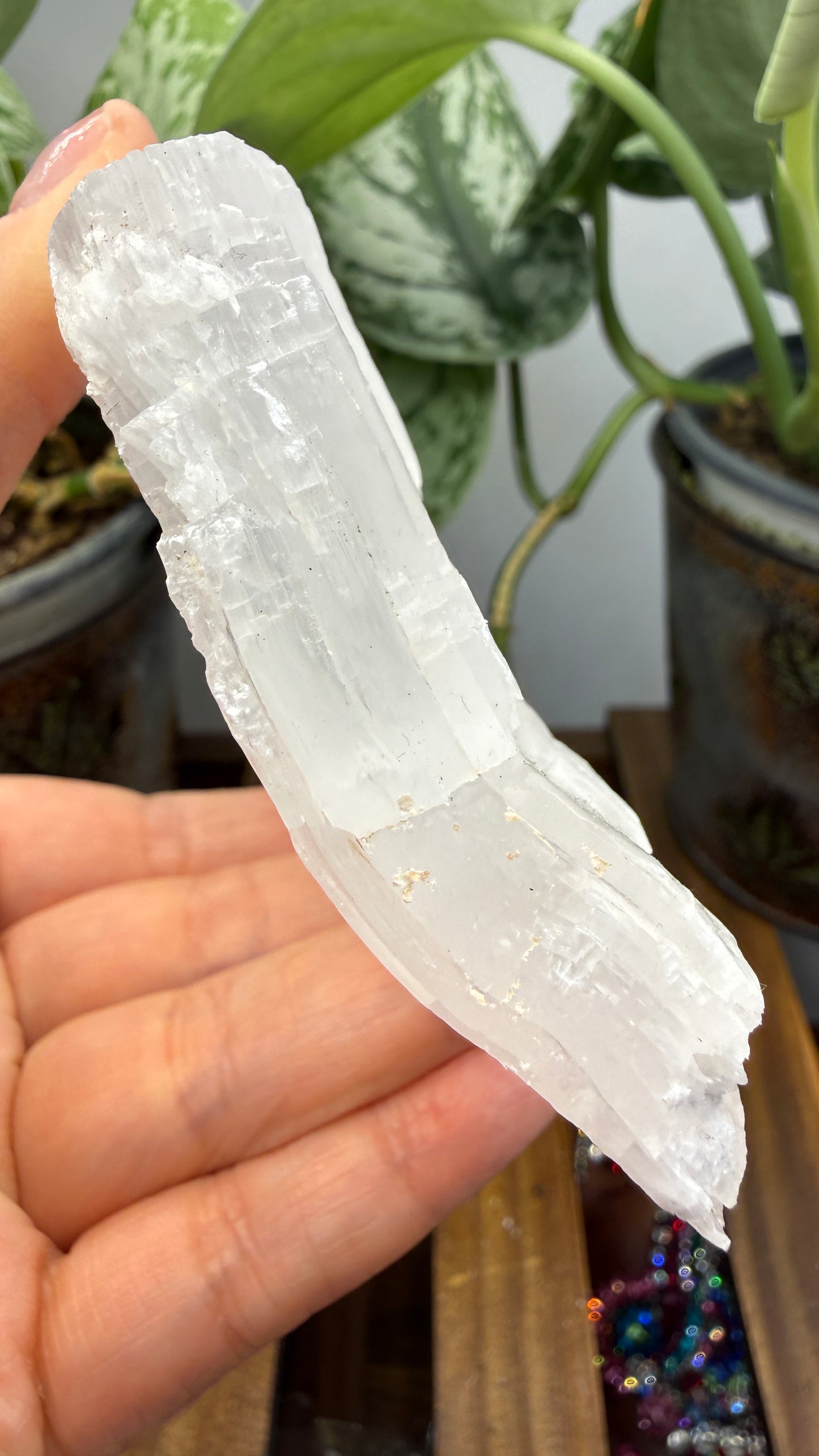 Natural Raw Selenite Plate- 5.6 inches wide- Super clear high quality slab