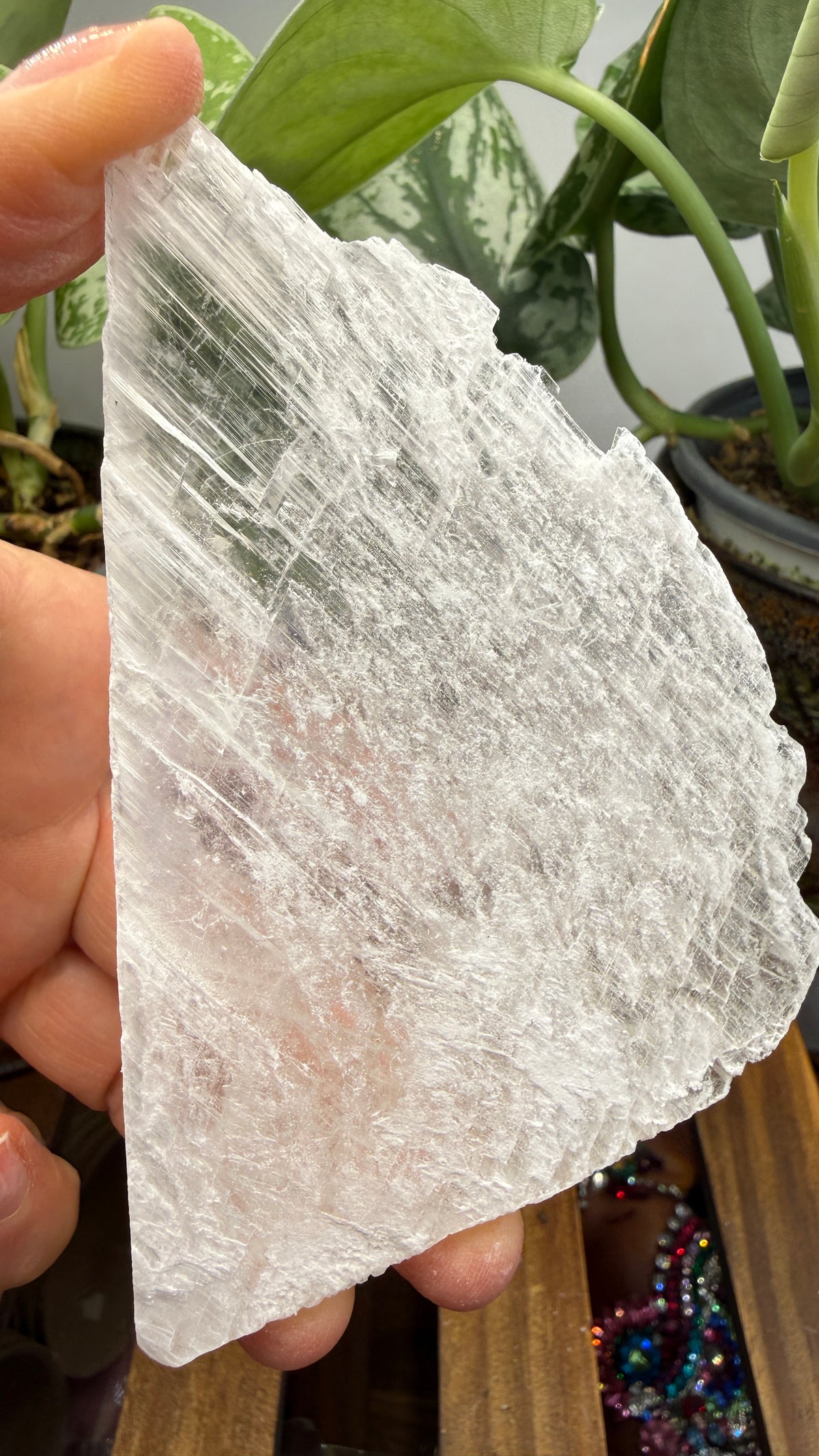 Natural Raw Selenite Plate- 4.5 inches wide- Super clear high quality slab