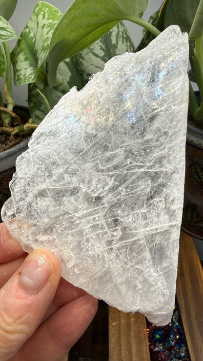Natural Raw Selenite Plate- 4.5 inches wide- Super clear high quality slab