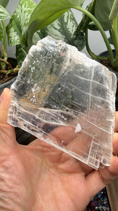 Natural Raw Selenite Plate- 4.1 inches wide- Super clear high quality slab