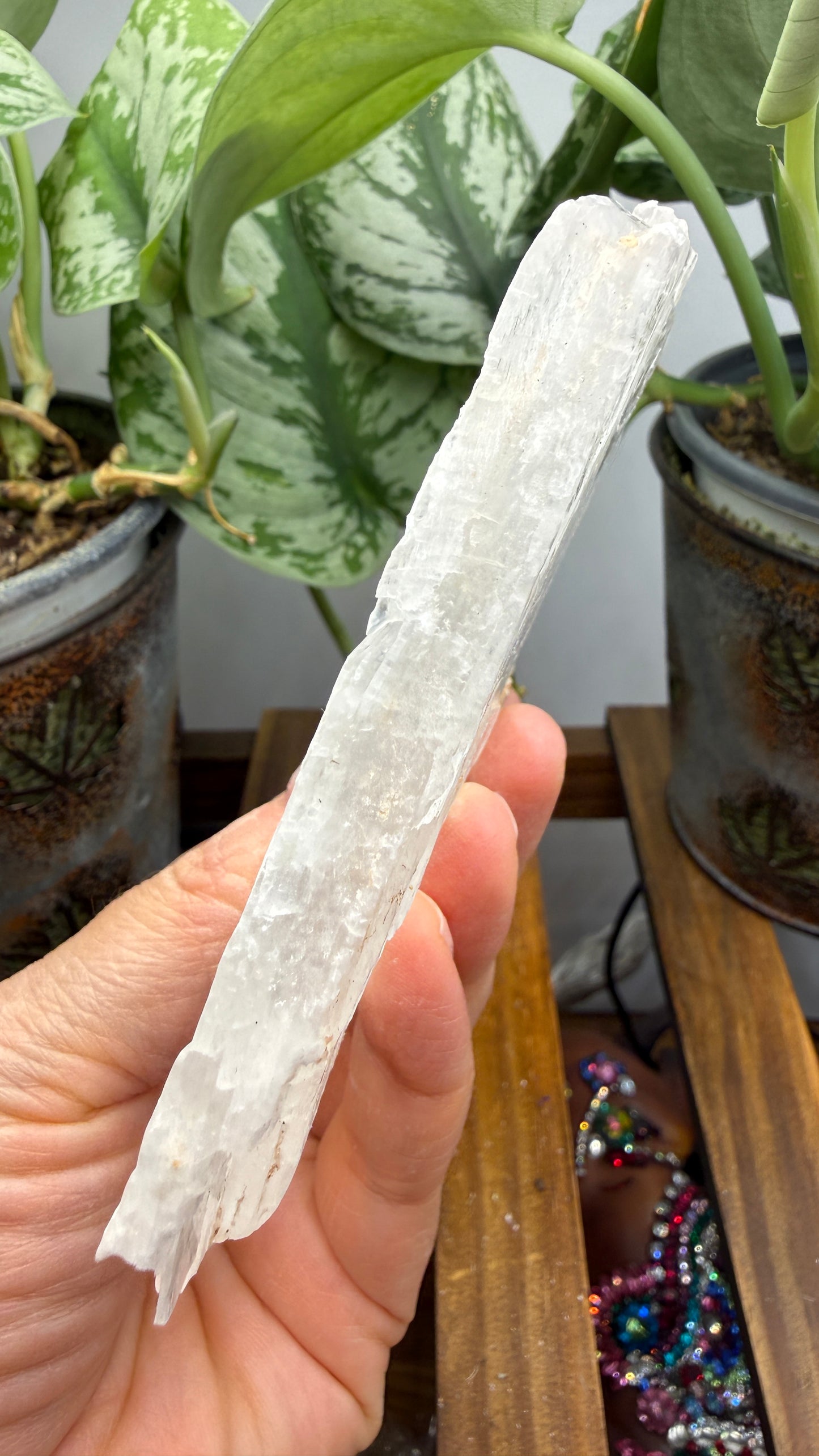 Natural Raw Selenite Plate- 4.1 inches wide- Super clear high quality slab