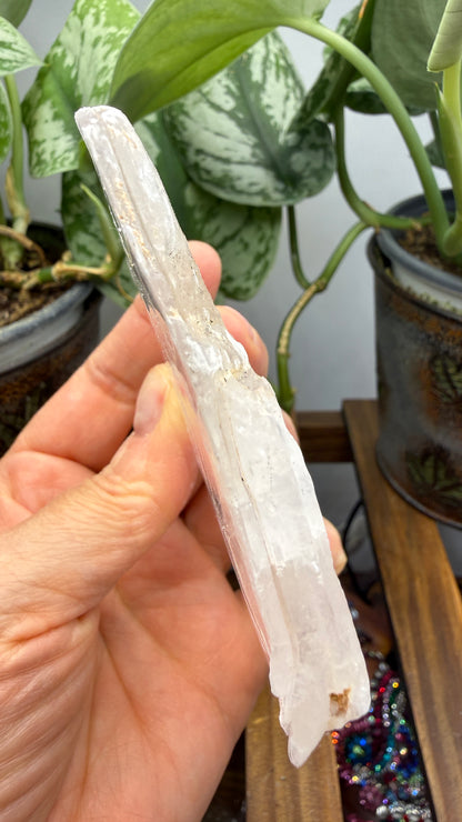 Natural Raw Selenite Plate- 4.1 inches wide- Super clear high quality slab
