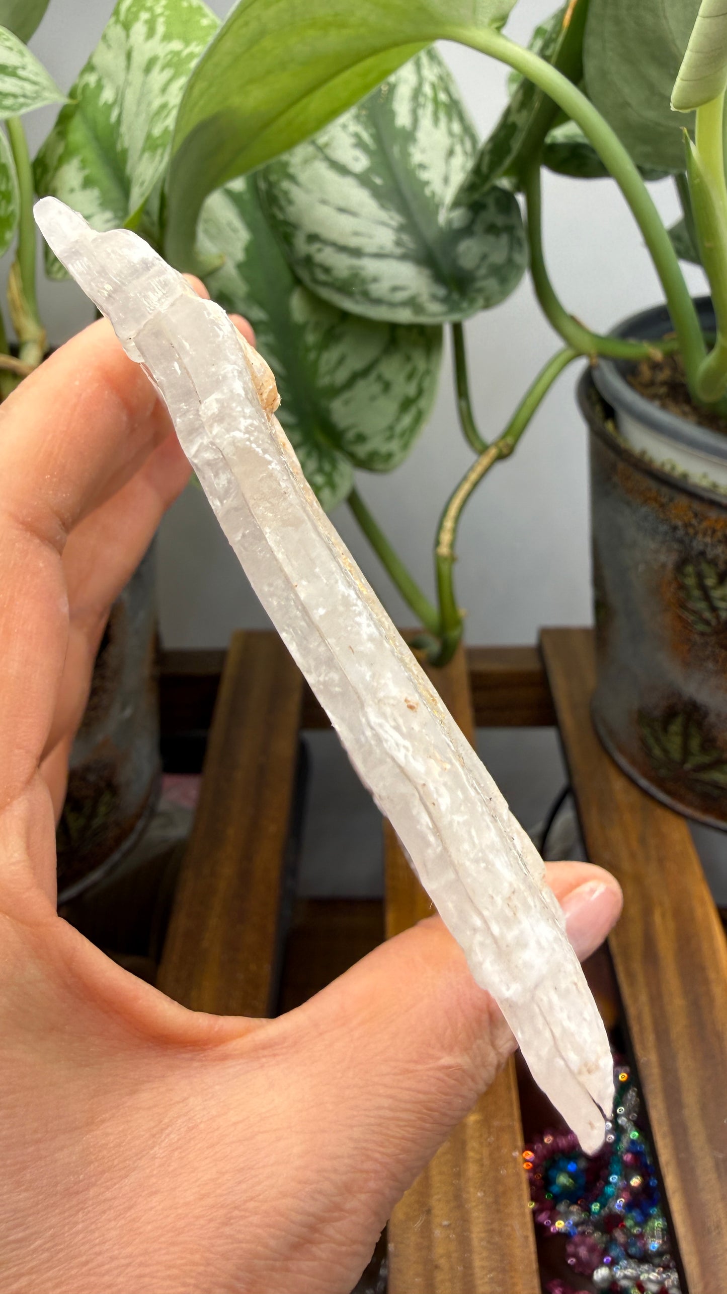 Natural Raw Selenite Plate- 4.1 inches wide- Super clear high quality slab