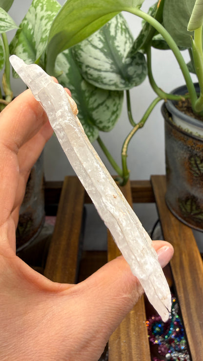 Natural Raw Selenite Plate- 4.1 inches wide- Super clear high quality slab