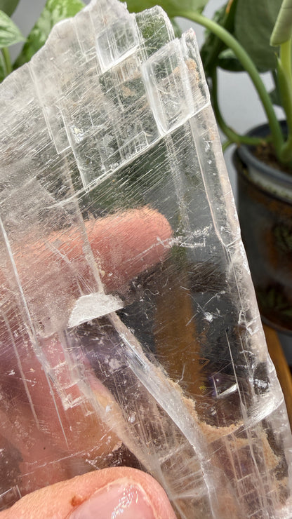 Natural Raw Selenite Plate- 4.1 inches wide- Super clear high quality slab