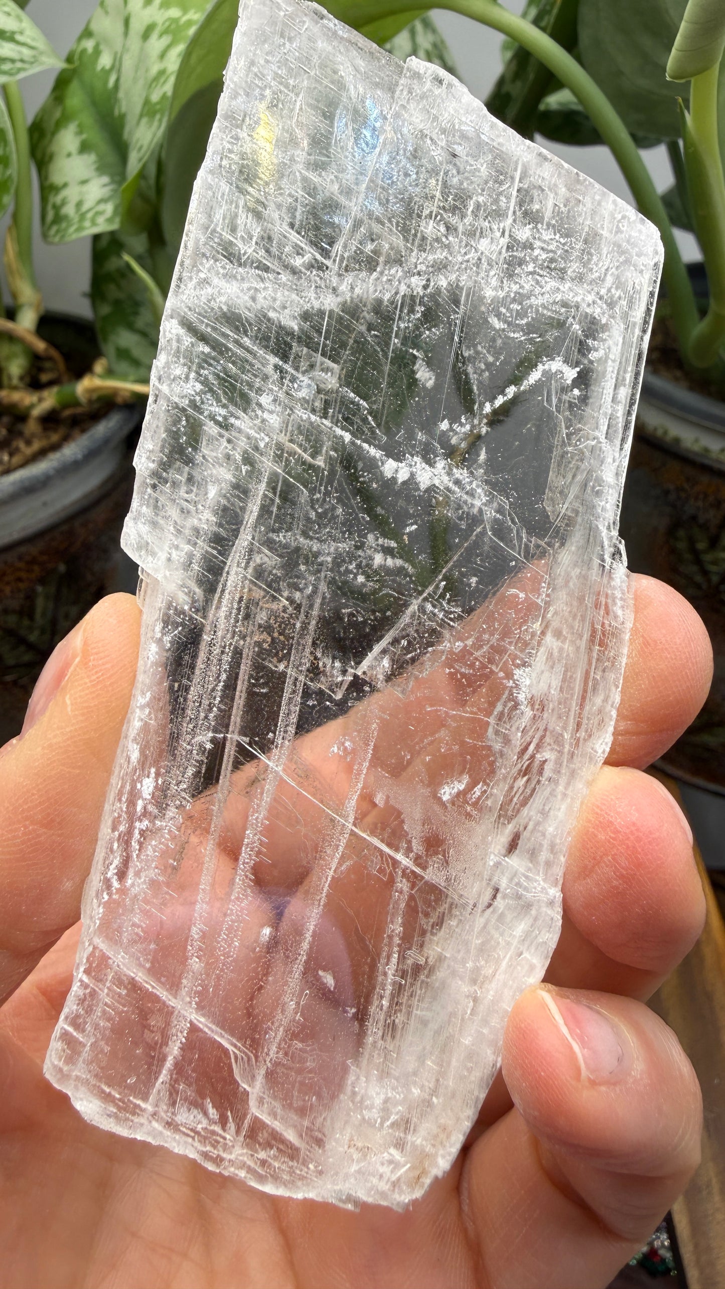 Natural Raw Selenite Plate- 3.8 inches wide- Super clear high quality slab