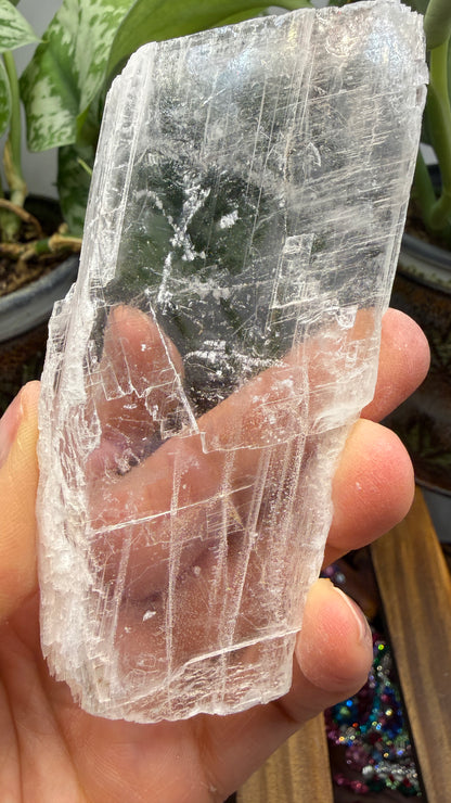 Natural Raw Selenite Plate- 3.8 inches wide- Super clear high quality slab