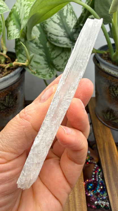 Natural Raw Selenite Plate- 3.8 inches wide- Super clear high quality slab