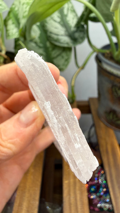Natural Raw Selenite Plate- 3.8 inches wide- Super clear high quality slab