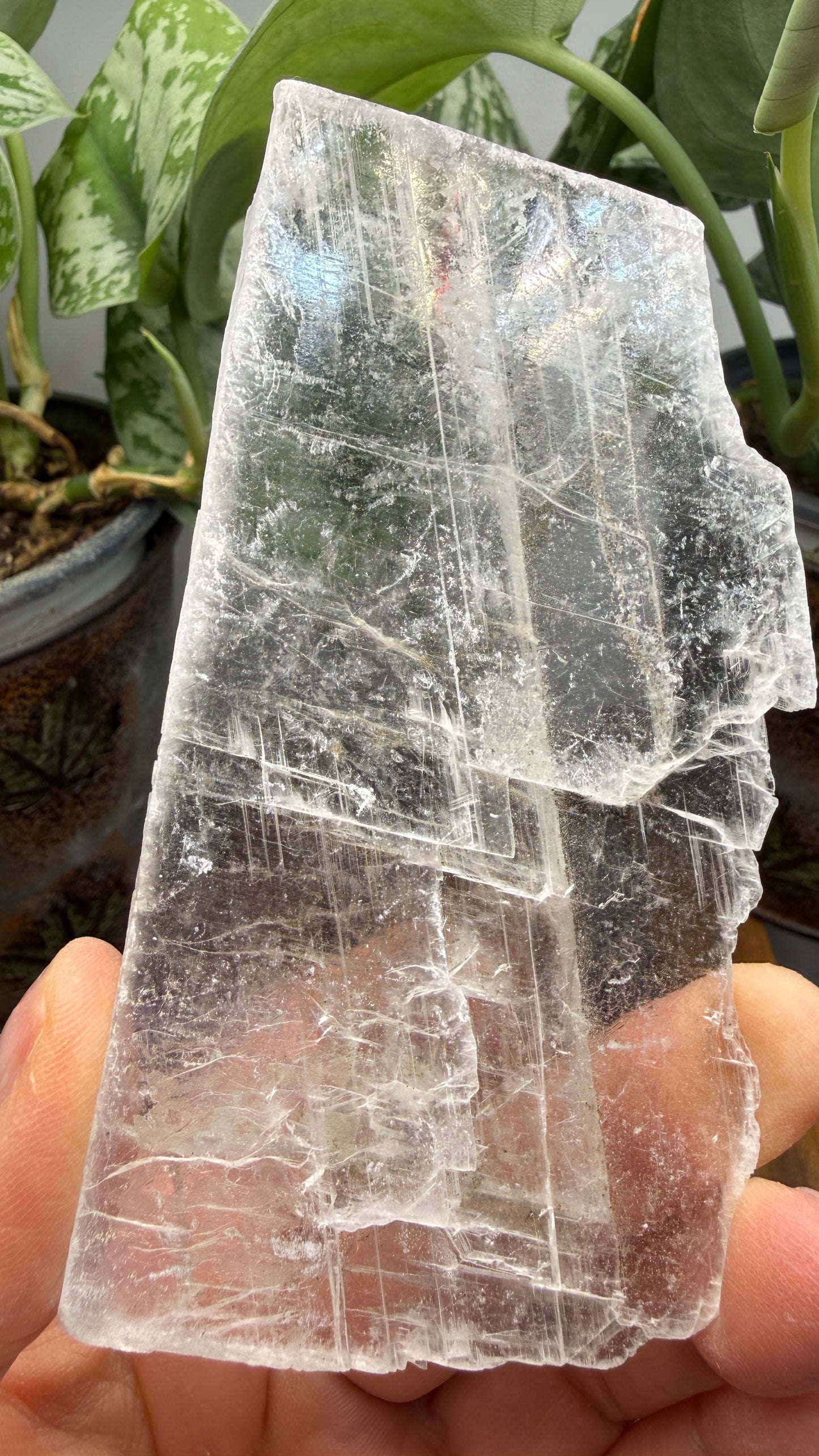 Natural Raw Selenite Plate- 4.2 inches wide- Super clear high quality slab