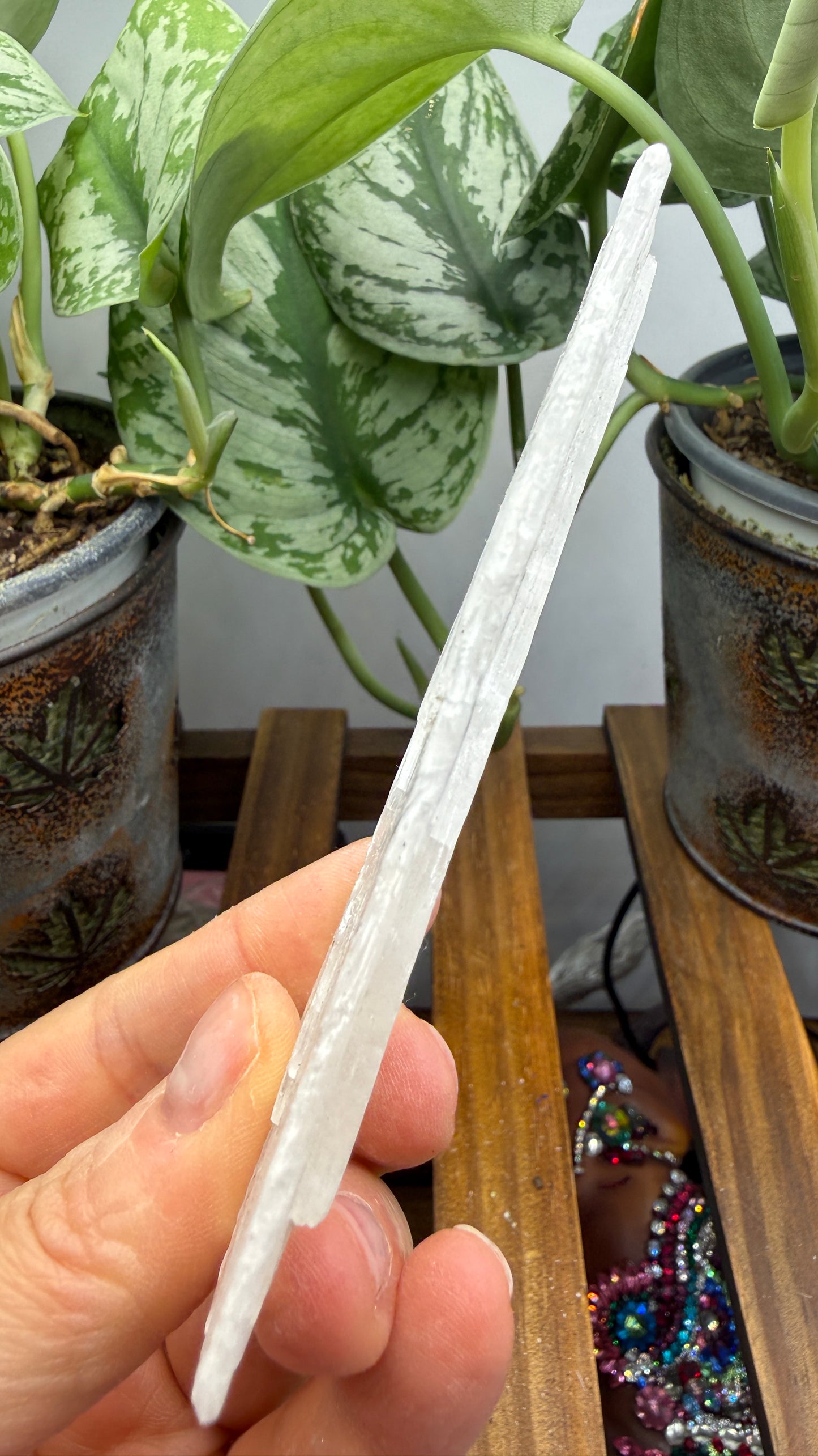 Natural Raw Selenite Plate- 4.2 inches wide- Super clear high quality slab